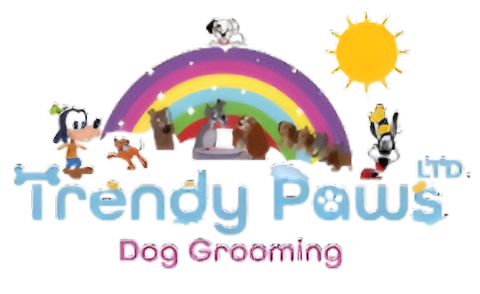 Trendy Paws
