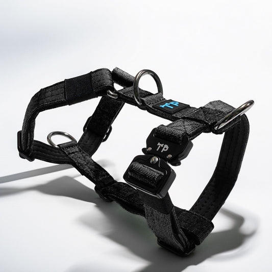 TP Tactical Harness-Black