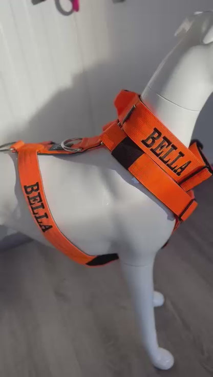 TP Tactical Harness-Yellow